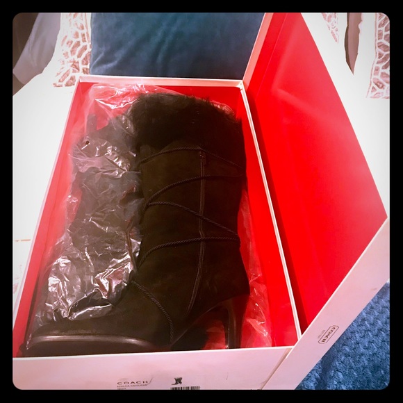 COPY - Coach knee high black Suede boots - Picture 1 of 5